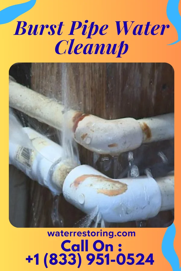 Burst Pipe Water Cleanup in Dillonvale, OH