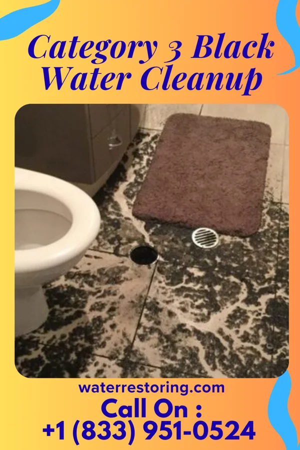 Category 3 Black Water Cleanup in Dillonvale, OH