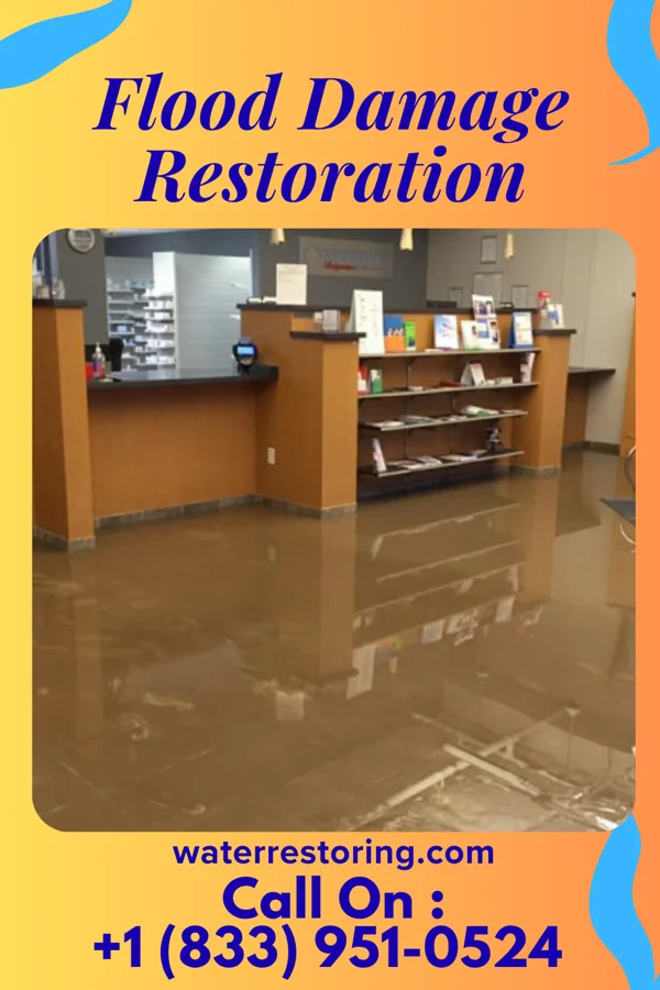 Flood Damage Restoration in Dillonvale, OH