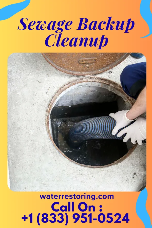 Sewage Backup Cleanup in Dillonvale, OH